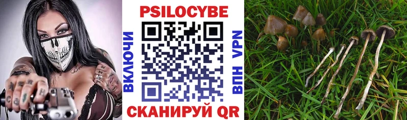 Псилоцибиновые грибы MAGIC MUSHROOMS  как найти закладки  Каменск-Шахтинский 