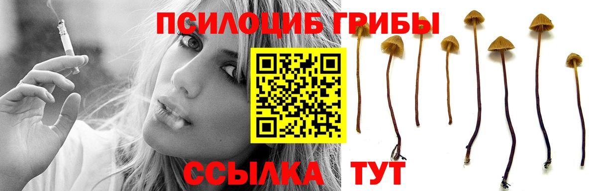 Галлюциногенные грибы GOLDEN TEACHER Каменск-Шахтинский